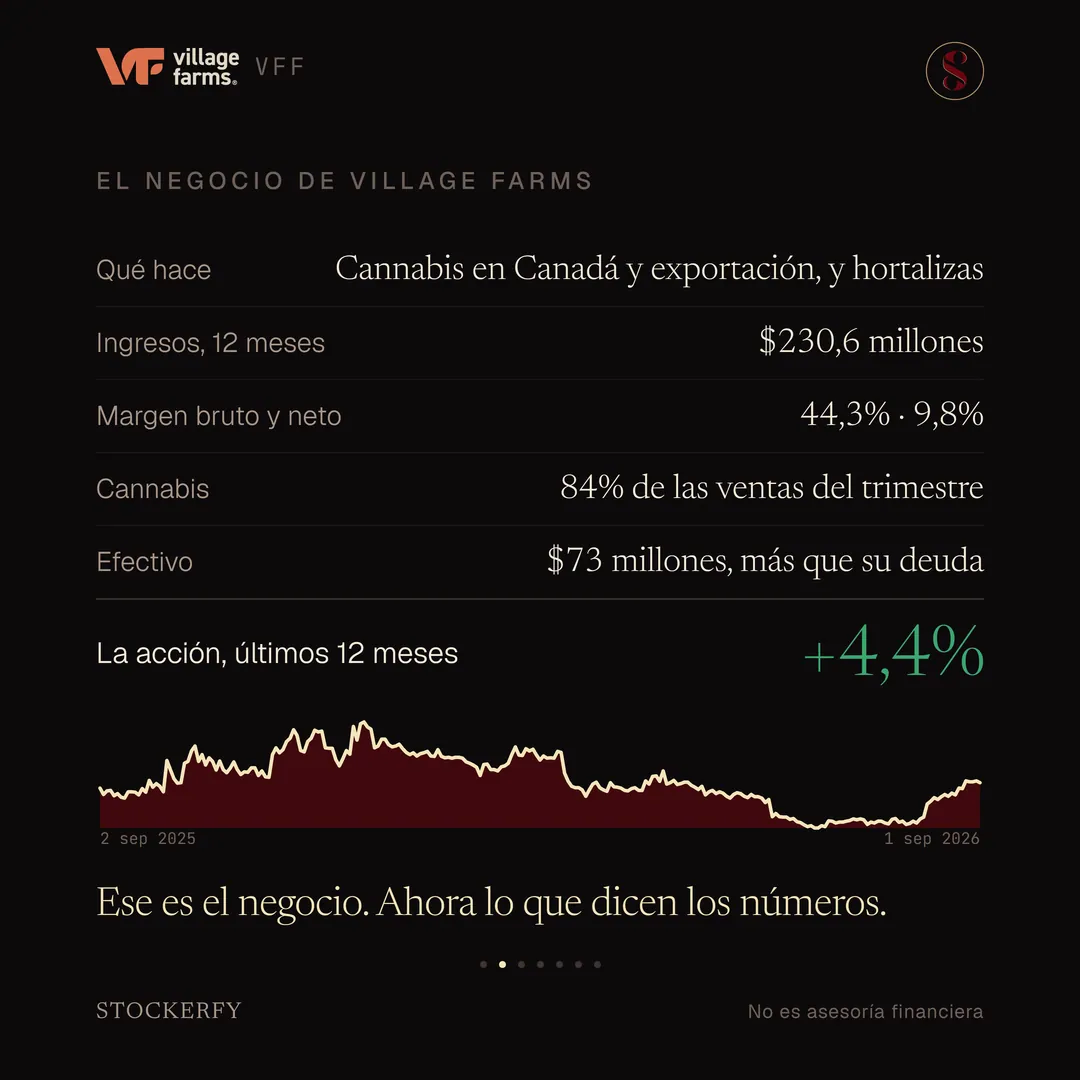 Tabla titulada El negocio de Village Farms: qué hace, cannabis en Canadá y exportación, y hortalizas; ingresos de doce meses, 230,6 millones de dólares; margen bruto y neto, 44,3% y 9,8%; cannabis, 84% de las ventas del trimestre; efectivo, 73 millones de dólares, más que su deuda. Una fila destacada muestra el rendimiento de la acción en los últimos doce meses, más 4,4%, en verde. El gráfico de los últimos doce meses, con las fechas 2 de septiembre de 2025 y 1 de septiembre de 2026 en las esquinas, sube hasta un pico hacia diciembre, cae con fuerza hasta un mínimo hacia junio y luego se recupera en parte. Cierra el remate: ese es el negocio, ahora lo que dicen los números.